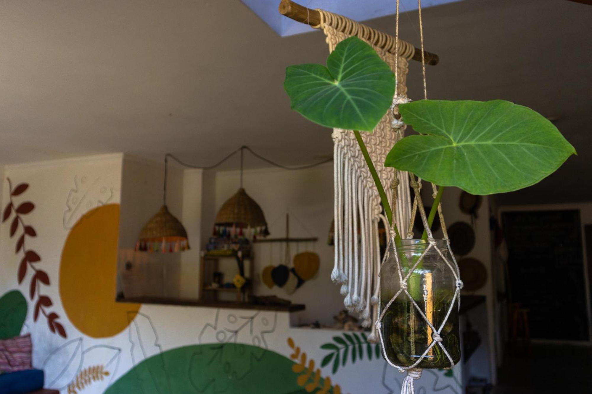 Sambaqui Hostel Ilhabela Zewnętrze zdjęcie